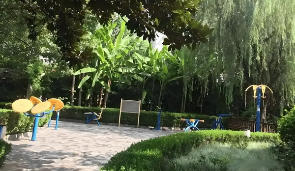深圳研究生可以落户吗_于佩尔：热爱永远不会消失 任要求其刑追究事责